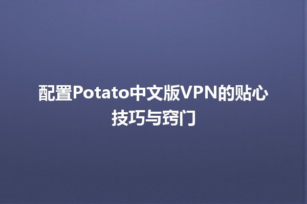 🍟 配置Potato中文版VPN的贴心技巧与窍门✨