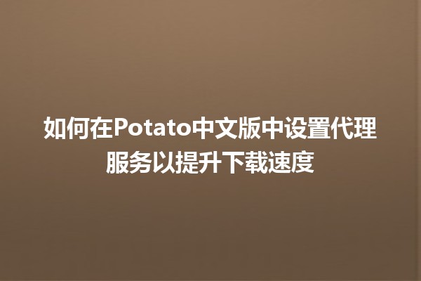 如何在Potato中文版中设置代理服务以提升下载速度🚀