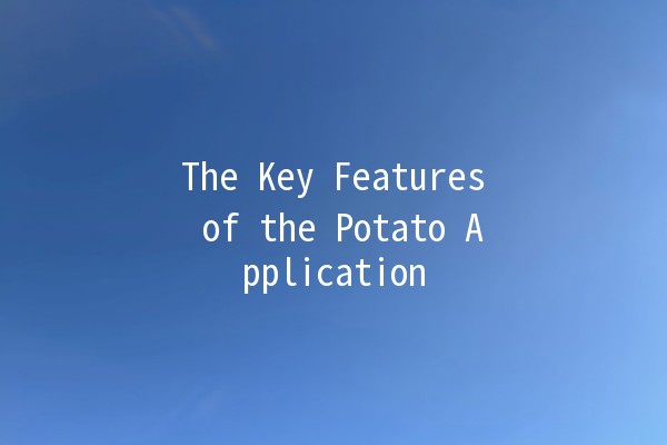 The Key Features of the Potato Application 🥔✨