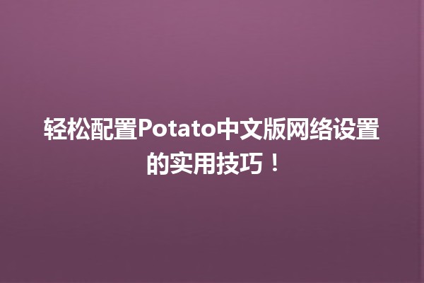 🚀 轻松配置Potato中文版网络设置的实用技巧！