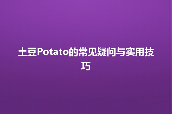 土豆Potato的常见疑问与实用技巧🥔✨