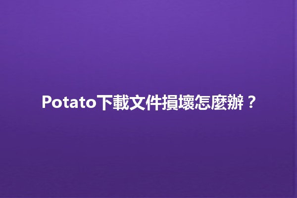 Potato下載文件損壞怎麼辦？🛠️💻