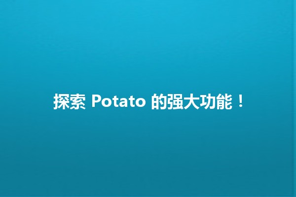 🍟 探索 Potato 的强大功能！ ✨