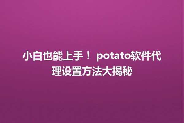 小白也能上手！🔧 potato软件代理设置方法大揭秘