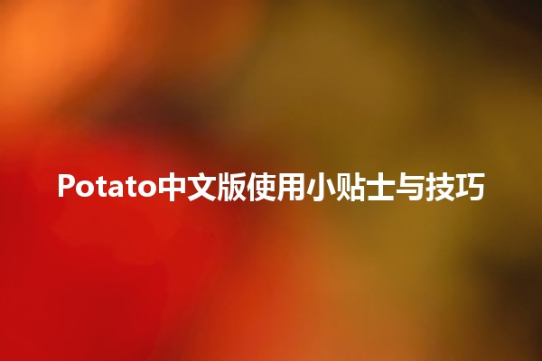 🍟 Potato中文版使用小贴士与技巧✨