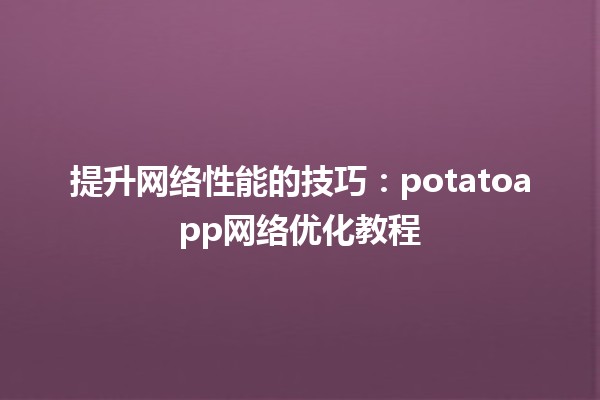 🚀 提升网络性能的技巧：potatoapp网络优化教程 🌐