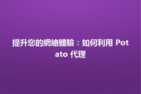 🚀 提升您的網絡體驗：如何利用 Potato 代理 ⛄️