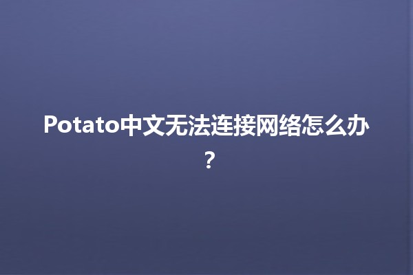 Potato中文无法连接网络怎么办？🔌🥔