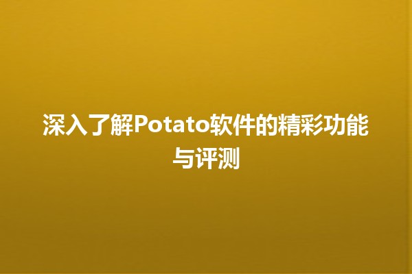 🍟 深入了解Potato软件的精彩功能与评测