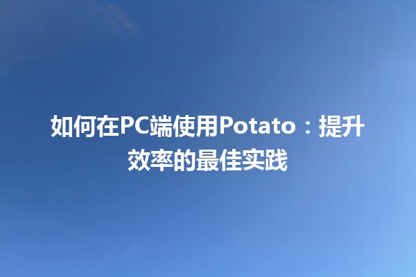 如何在PC端使用Potato🍟：提升效率的最佳实践