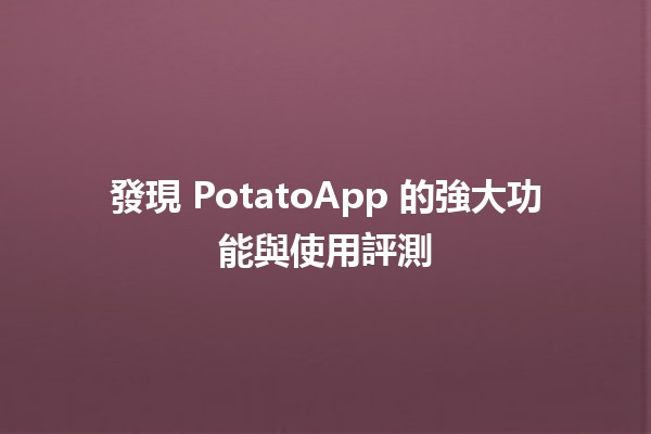 🍟 發現 PotatoApp 的強大功能與使用評測 🚀