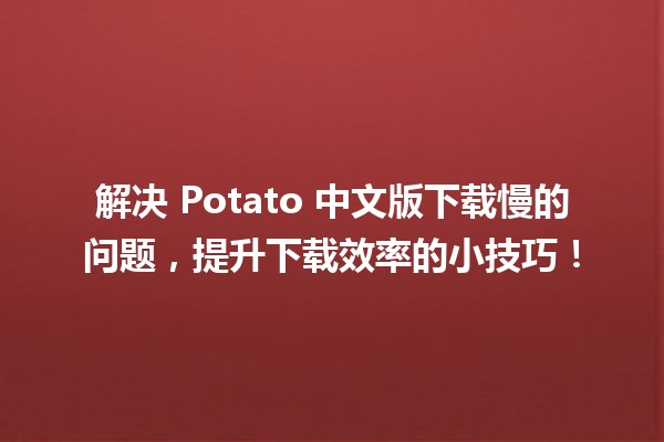 🍟 解决 Potato 中文版下载慢的问题，提升下载效率的小技巧！