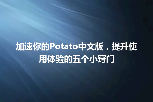 💨 加速你的Potato中文版，提升使用体验的五个小窍门 🚀