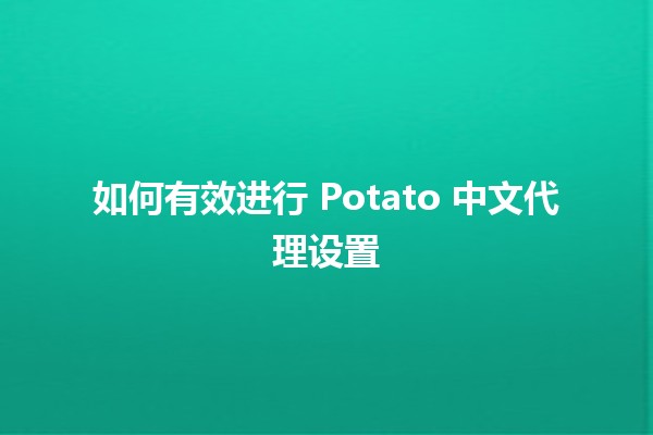 如何有效进行 Potato 中文代理设置 🥔✨