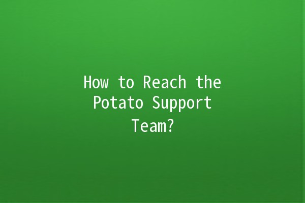 How to Reach the Potato Support Team? 🥔📞