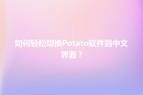 如何轻松切换Potato软件到中文界面？🥔🌍