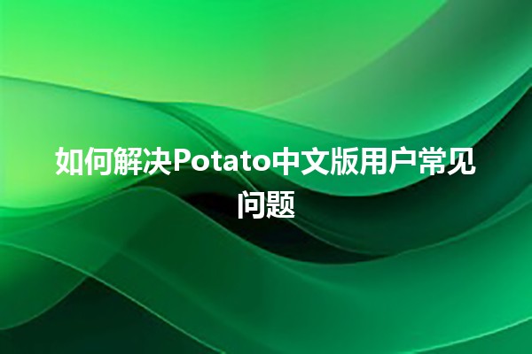 如何解决Potato中文版用户常见问题🍟🛠️