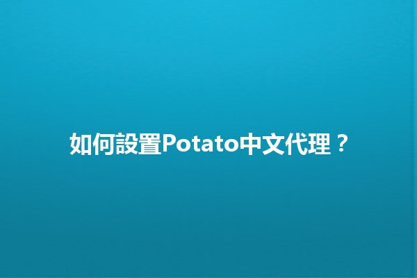 如何設置Potato中文代理？🤔🍟