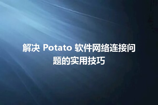 🍟 解决 Potato 软件网络连接问题的实用技巧 🚀