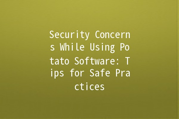 Security Concerns While Using Potato Software: Tips for Safe Practices 🥔🔒