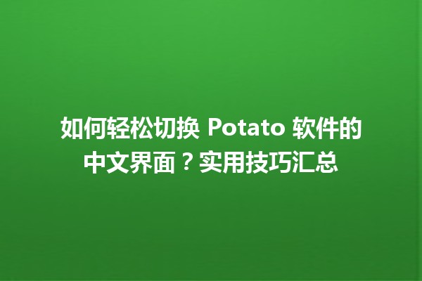 🍟 如何轻松切换 Potato 软件的中文界面？实用技巧汇总 ✨