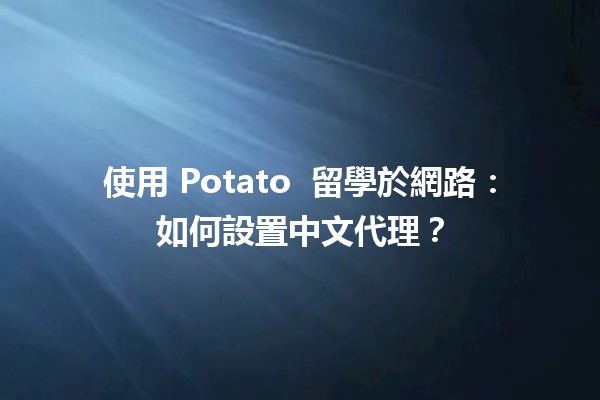 使用 Potato 🔧 留學於網路：如何設置中文代理？