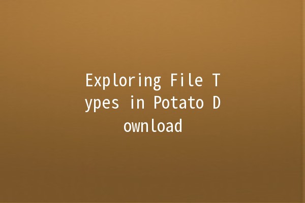 Exploring File Types in Potato Download 🥔💻