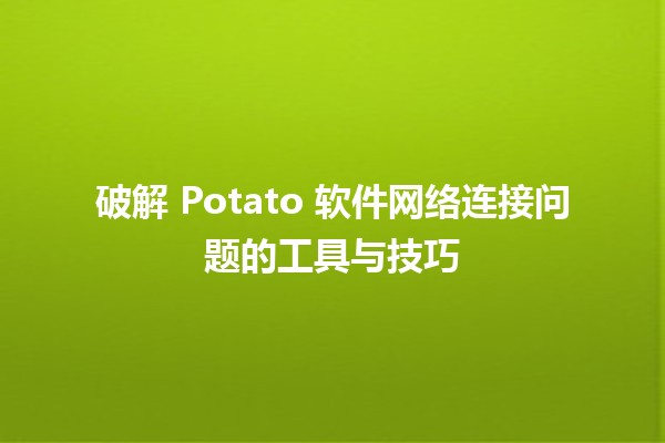 🥔 破解 Potato 软件网络连接问题的工具与技巧