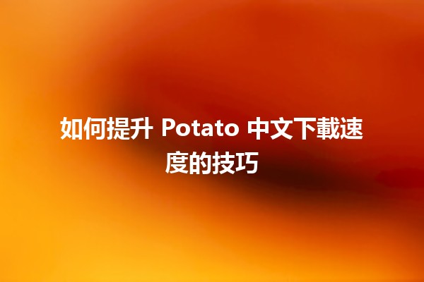 🚀 如何提升 Potato 中文下載速度的技巧💡