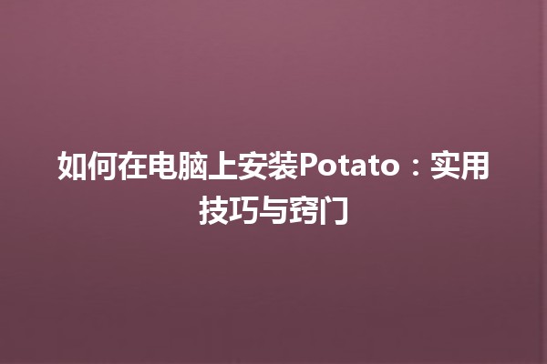 如何在电脑上安装Potato🍟：实用技巧与窍门