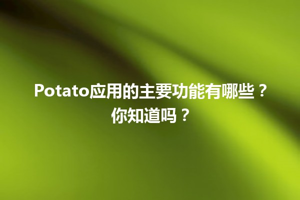 Potato应用的主要功能有哪些？你知道吗？🥔✨