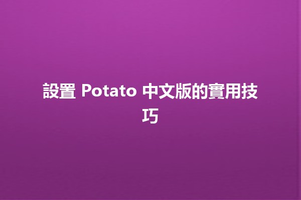 設置 Potato 中文版的實用技巧 🌟💻