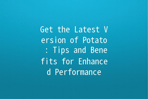 Get the Latest Version of Potato 📥: Tips and Benefits for Enhanced Performance