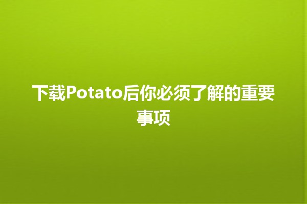 下载Potato后你必须了解的重要事项 🥔💾