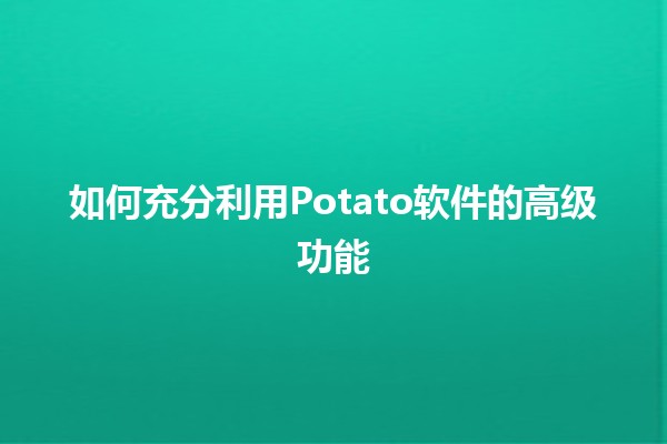 如何充分利用Potato软件的高级功能✨🚀