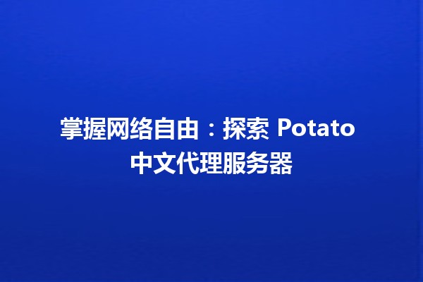 掌握网络自由：探索 Potato 中文代理服务器 🌐🚀