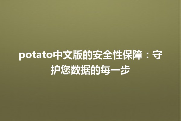 🌟 potato中文版的安全性保障：守护您数据的每一步