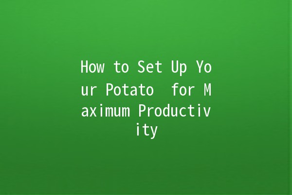 How to Set Up Your Potato 🥔🌱 for Maximum Productivity