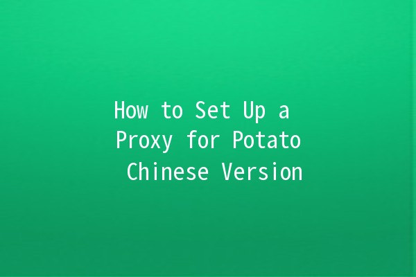 How to Set Up a Proxy for Potato Chinese Version 🚀🌟