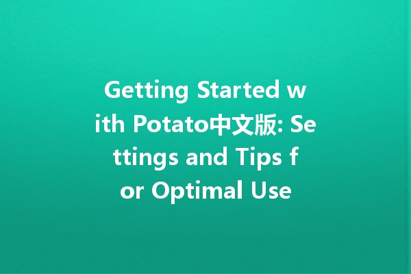 Getting Started with Potato中文版: Settings and Tips for Optimal Use 🥔✨