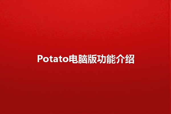 Potato电脑版功能介绍🖥️🍟