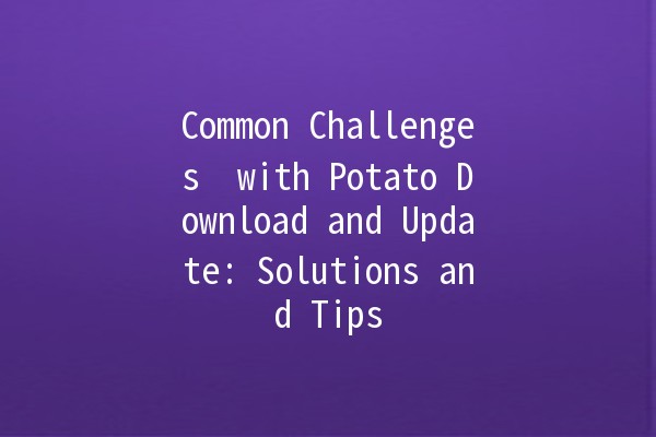 Common Challenges 🤔 with Potato Download and Update: Solutions and Tips