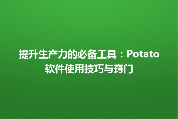 🚀 提升生产力的必备工具：Potato软件使用技巧与窍门