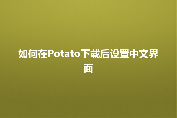 如何在Potato下载后设置中文界面🌟