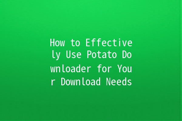 How to Effectively Use Potato Downloader for Your Download Needs 🚀🍟