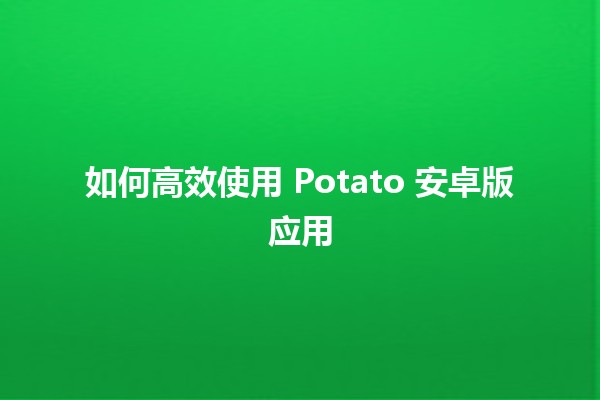 📱 如何高效使用 Potato 安卓版应用 💡