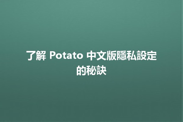 🚀 了解 Potato 中文版隱私設定的秘訣 🔒