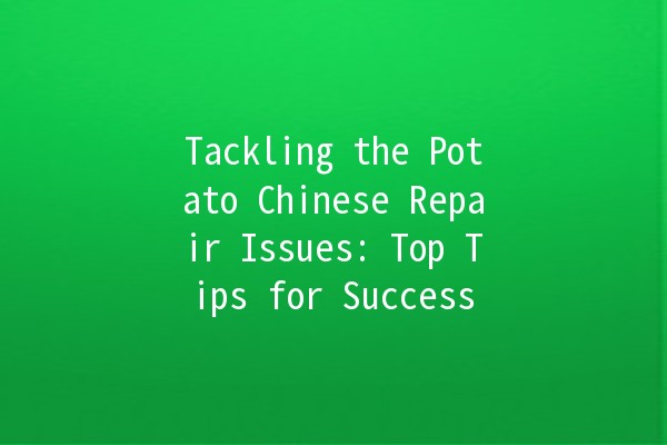 Tackling the Potato Chinese Repair Issues: Top Tips for Success 🥔✨