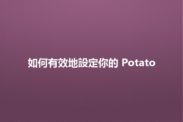 如何有效地設定你的 Potato 🌱🍟