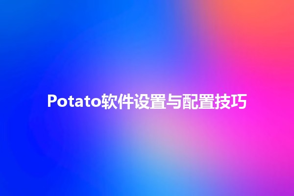 Potato软件设置与配置技巧🍟